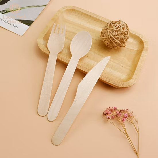 中国からの 6 インチ 6.5 インチ PLA 生分解性堆肥化可能な使い捨てキッチン食器